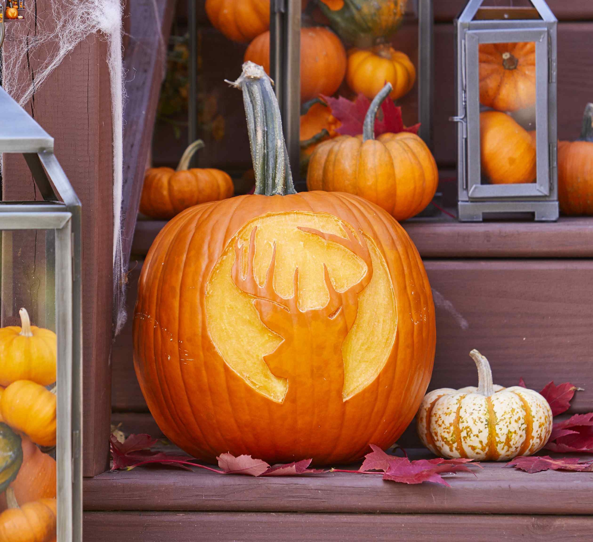 12 Adorable and Free Animal Pumpkin Carving Ideas
