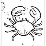 15 Crab Coloring Pages Printable PDF For Free