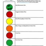 2019 2025 Form Wellness Recovery Action Plan WRAP Traffic Light Fill Online Printable Fillable Blank PdfFiller