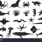 29 Thousand Sea Creature Silhouette Royalty Free Images Stock Photos Pictures Shutterstock