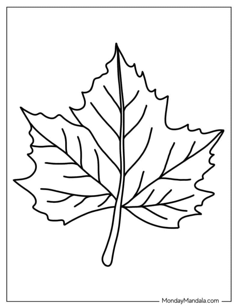Free Printable Cut And Paste Activities
