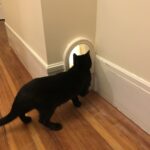 3D Printed Cat Door By Natanj Pinshape