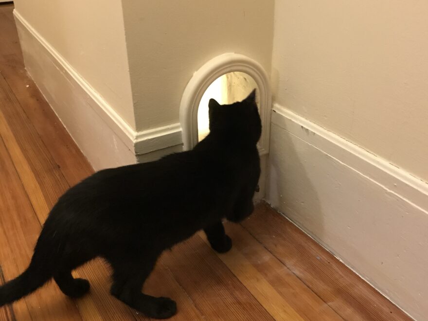 3D Printed Cat Door By Natanj Pinshape
