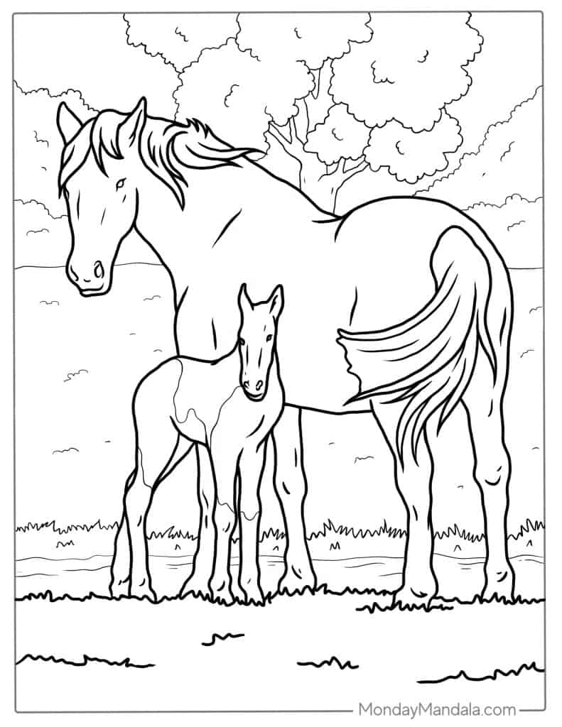 Free Get To Know You Worksheet