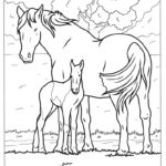 44 Horse Coloring Pages Free PDF Printables