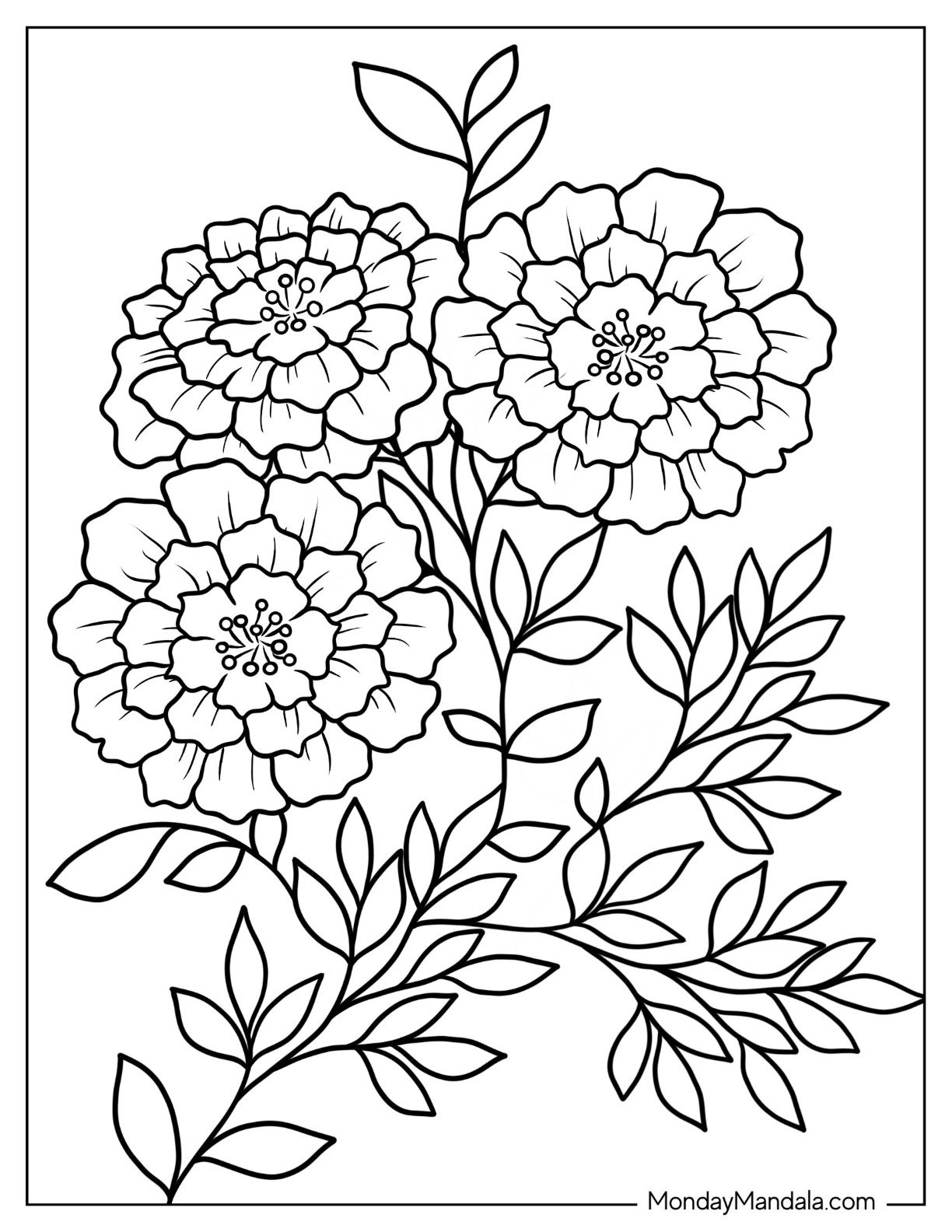 Free And Printable Crossword Puzzles