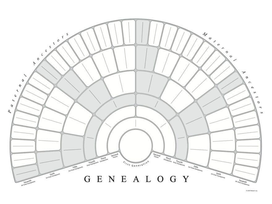 9 Generation Fan Chart 10 Pack Amazon ca Office Products