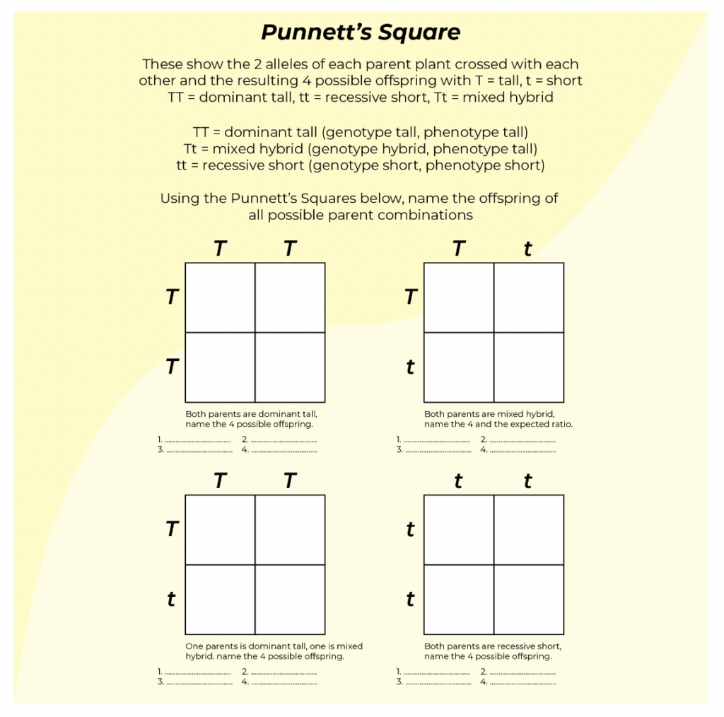 Printable Free Coloring Pages