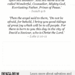 A Christmas Gift Gospel Tract 100pk Living Waters Down Under Australian Store