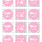 Baby Girl Shower Free Printables How To Nest For Less