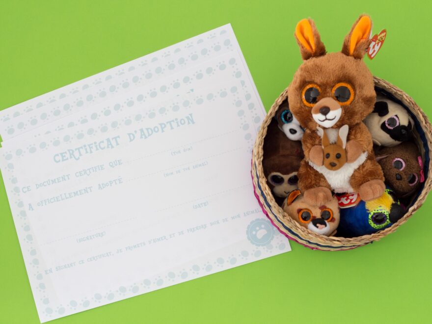Beanie Boo Birthday Activities Mister Lapin