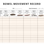 Blank Weekly Potty Chart Templates 10 Free PDF Printables Printablee