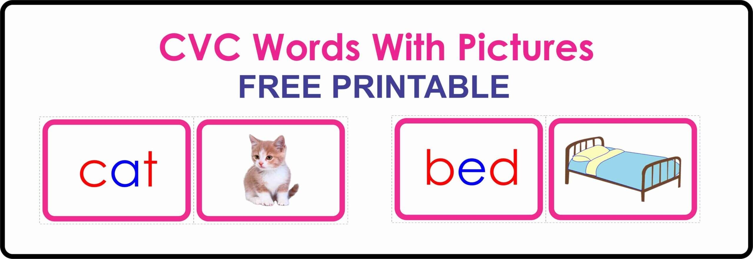 Cvc Words Montessori Free Printables