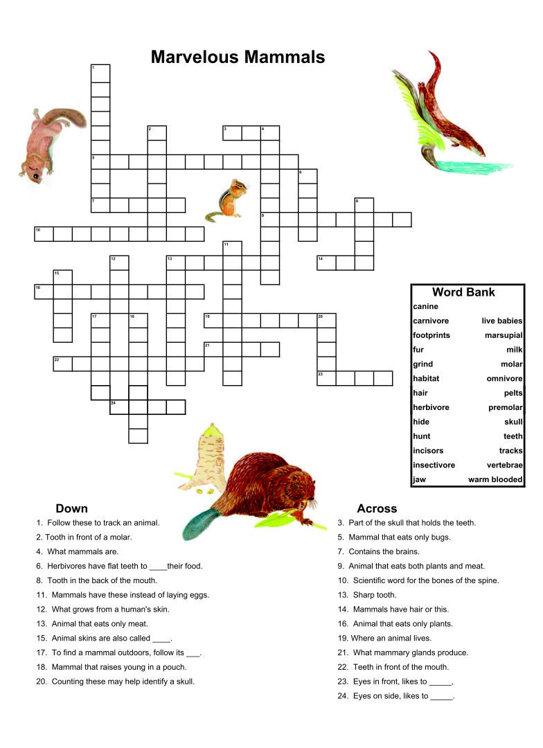 Dementia Activities 10 Free PDF Printables Printablee Worksheets Library