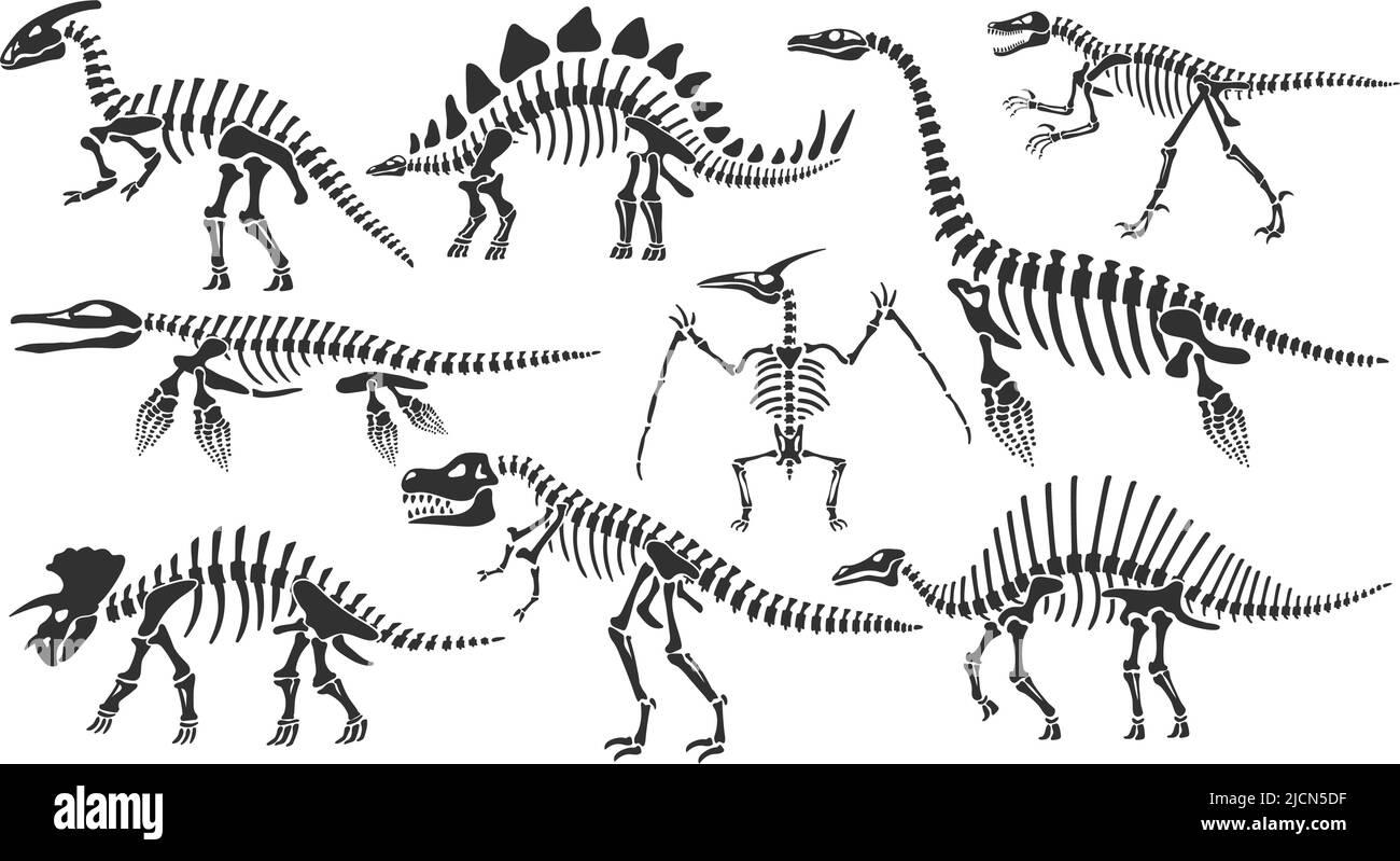 Free Printable Pictures Of Dinosaurs Skeletons