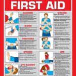 First Aid Poster 10 Free PDF Printables Printablee