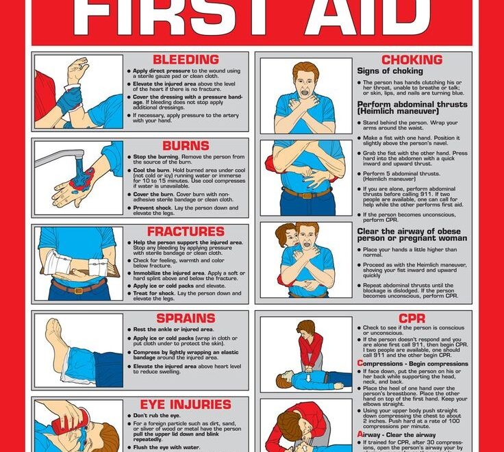 First Aid Poster 10 Free PDF Printables Printablee