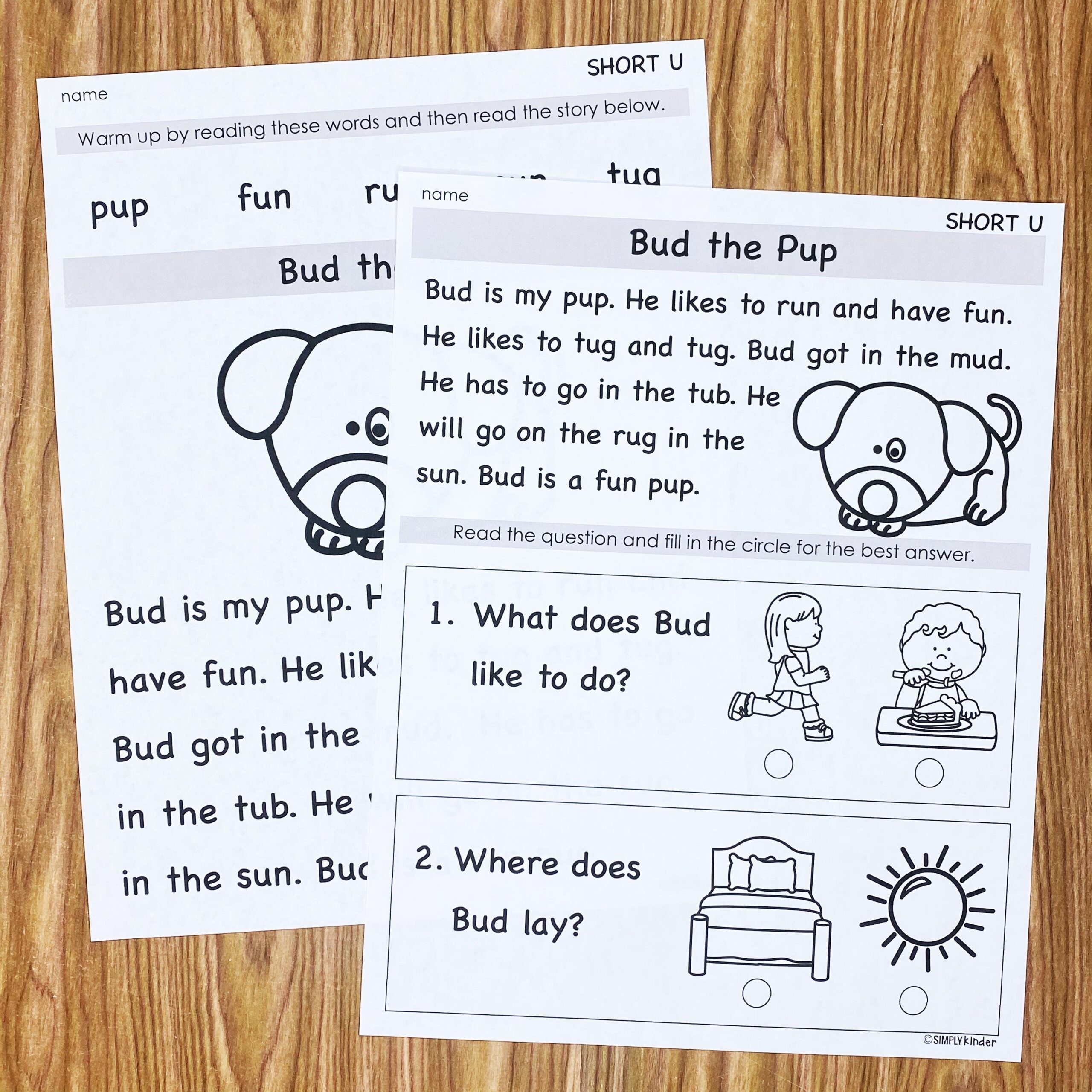 Free Printable First Grade Reading Fluency Passages