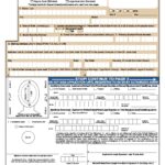 Free Passport Application Form DS 11 Apply For A New Passport PDF EForms