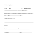 Free Pregnancy Verification Form PDF Word EForms