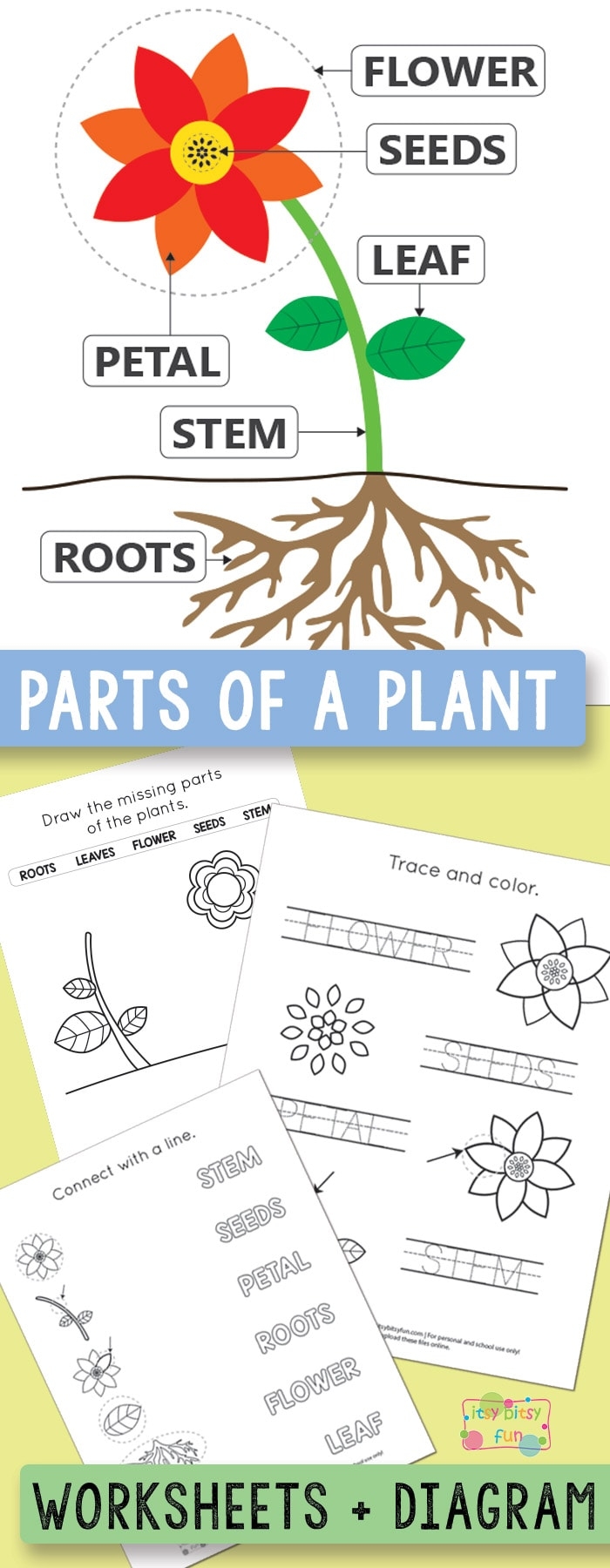 Free Printable File Labels
