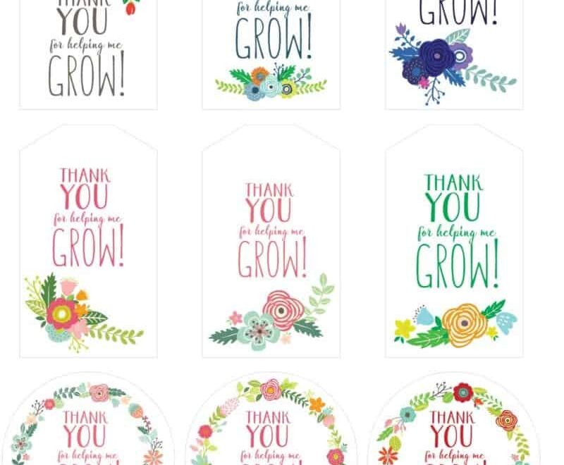 FREE Printable Thank You For Helping Me Grow Gift Tags Skip To My Lou