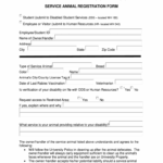 Free Service Dog Certification Download Fill Out Sign Online DocHub