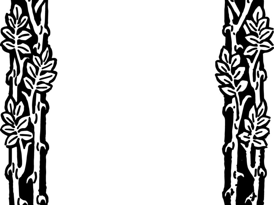 Free Vector Floral Border Frame