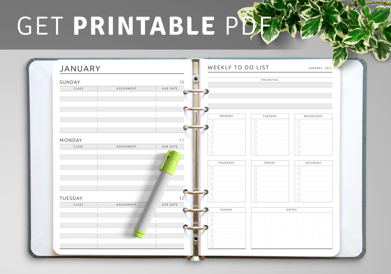 Free Printable File Label Template