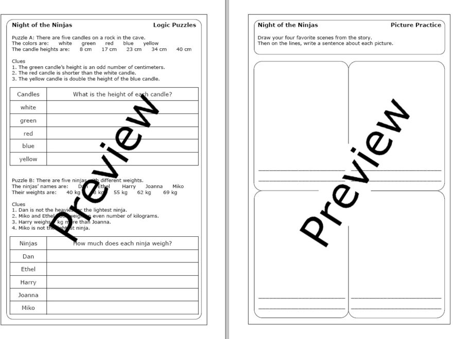 Magic Tree House Night Of The Ninjas Worksheets Made By Teachers