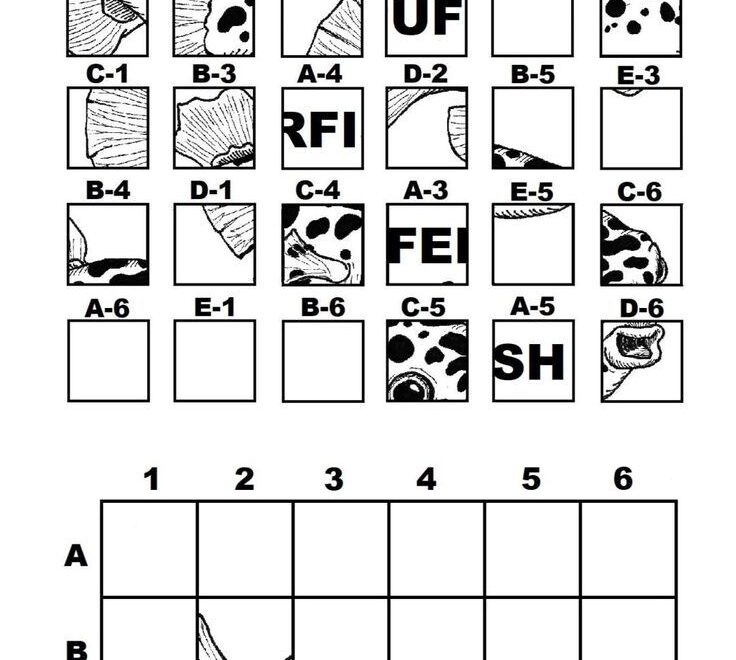 Mystery Grid Drawing Worksheets Printables