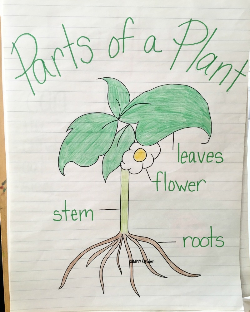 All About Me Printables Middle School