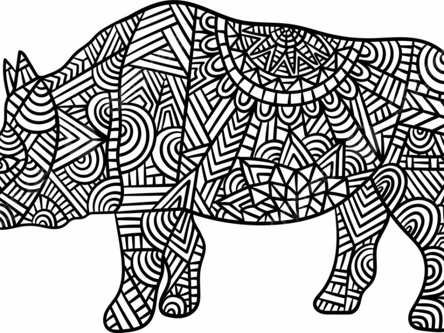 Rhinoceros Mandala Coloring Pages For Adults Colouring Rhino Adult Vector Man Drawing Ring Drawing Color Drawing PNG And Vector With Transparent Background For Free Download