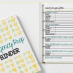 The Emergency Prep Binder Every Family Should Have Sunny Day Family