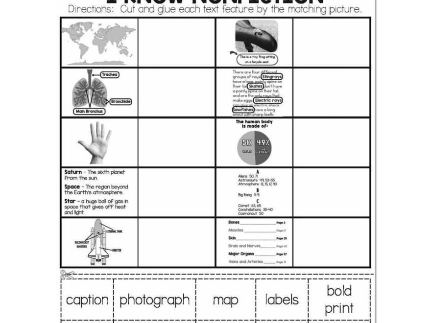 Winter Early Finishers 1st Grade ELA Nonfiction Text Features I Know Nonfiction Lucky Little Learners