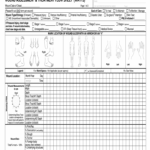 Wound Care Documentation Template Fill Out Sign Online DocHub