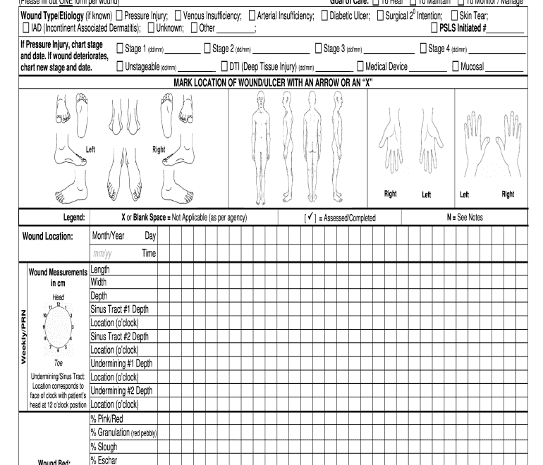 Wound Care Documentation Template Fill Out Sign Online DocHub