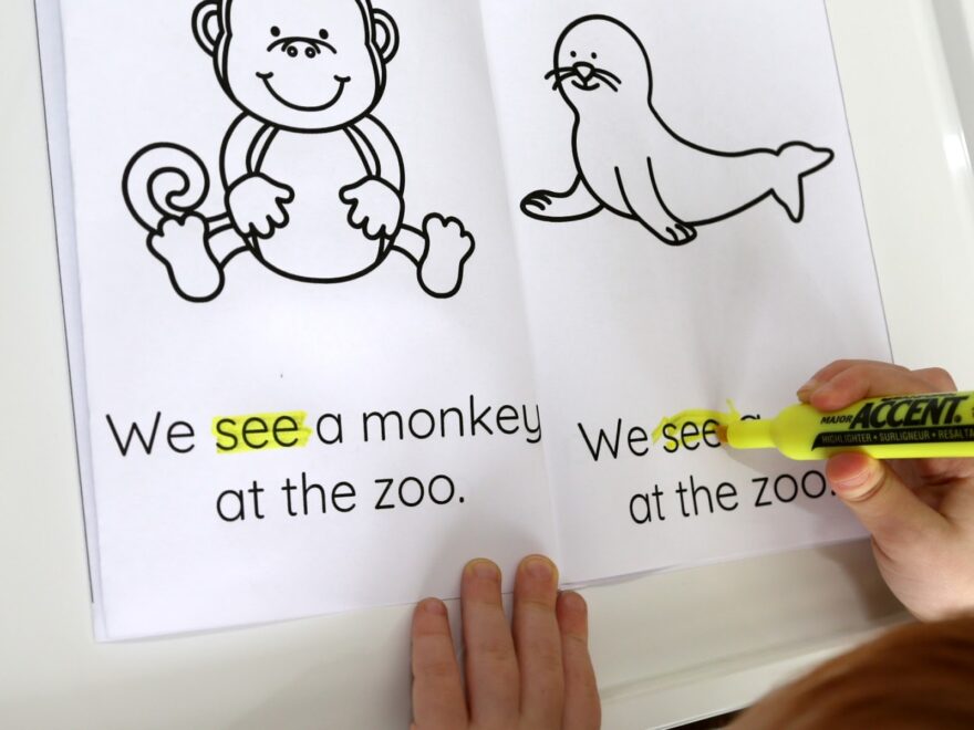 Zoo Emergent Reader Sight Word Book Still Playing School
